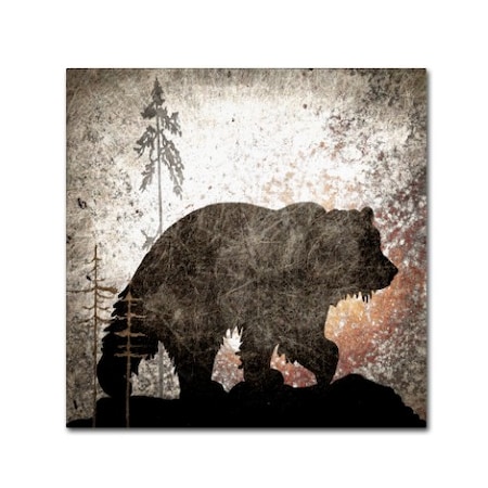 LightBoxJournal 'Calling Bear' Canvas Art,14x14